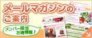 メルマガ会員登録