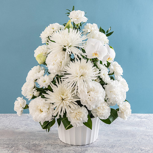 白を基調とした日比谷花壇の定番アレンジメントです。